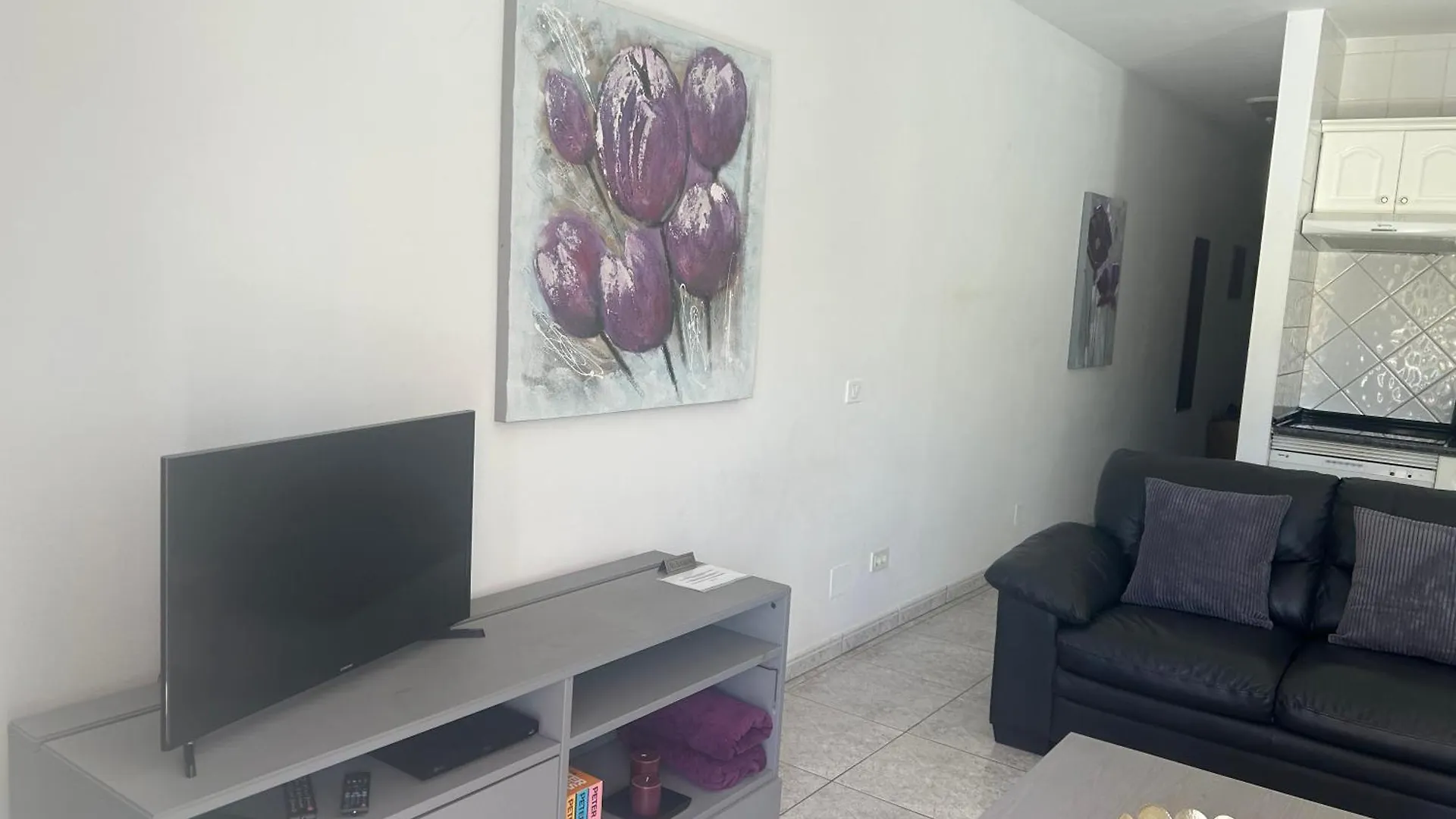 One Bedroom 2 Persons Apartment Costa Adeje  0*, Costa Adeje (Tenerife)